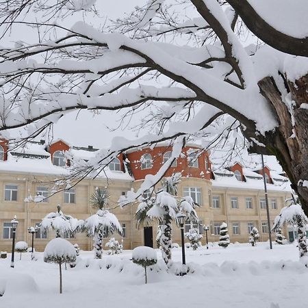 Vilesh Palace Hotel Masallı Eksteriør bilde